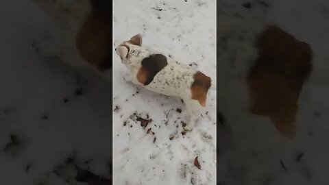 Anticipation... ❤️