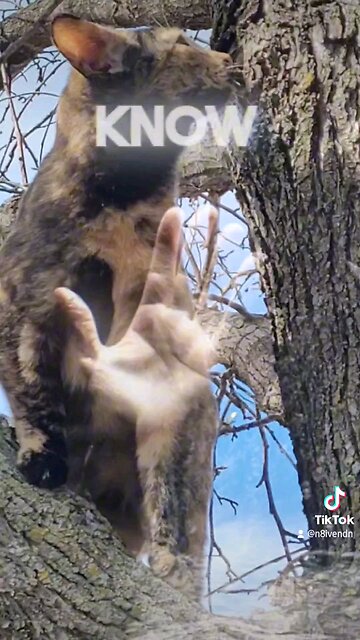 My in can't fly either. And I think God for that