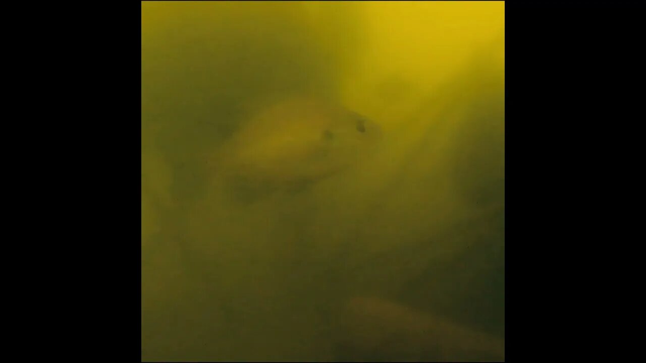 deep beneath the pier