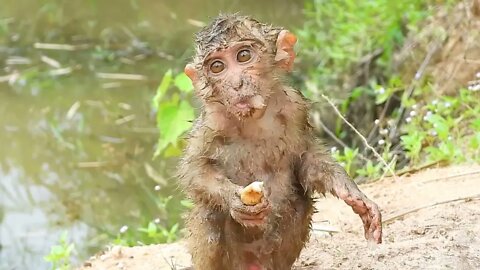 Oh My Goodness! baby kley rises from the ground to eat-3