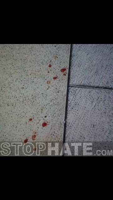 This blood trail leads to Michael Leroy Byrd, who murdered Ashli Babbitt