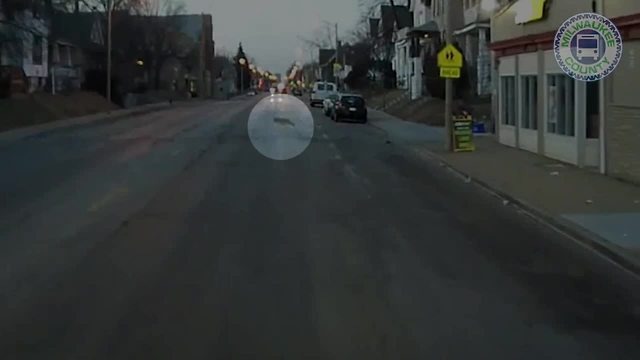 VIDEO: Coyote gets chased by cat in Milwaukee's Riverwest neighborhood