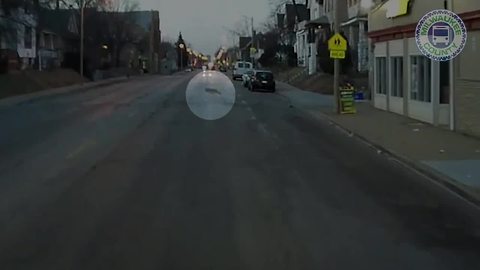 VIDEO: Coyote gets chased by cat in Milwaukee's Riverwest neighborhood