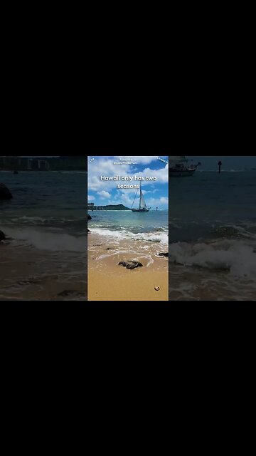 In Hawaii, you can experience sunny beaches and snowy mountains on the same island.