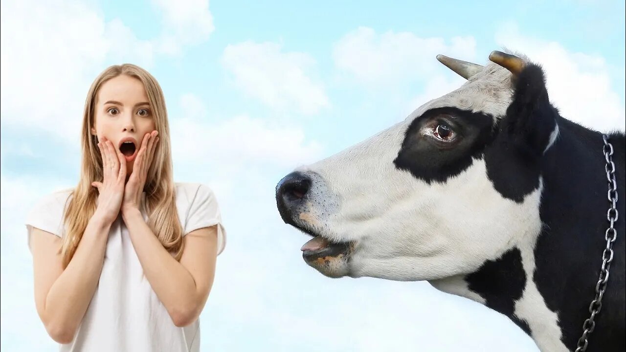 The Bizarre Link PETA claims: Milk & Racism