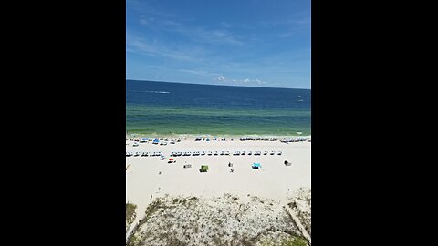 My veiw at the beach