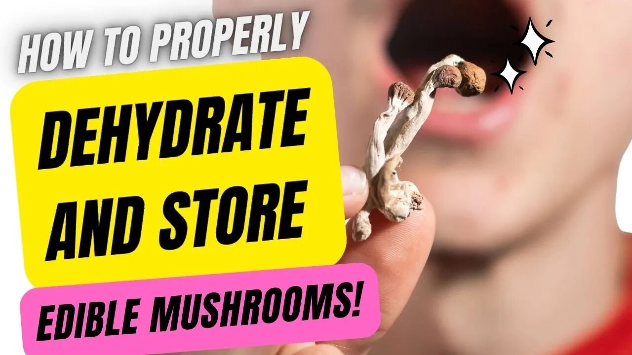 🍄 Dehydration and Storage: The Proper Way (Edible Mycology) 🍄