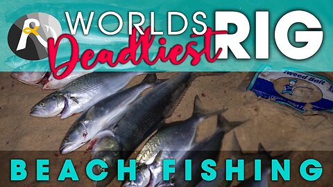 Beach Fishing - "WORLD'S DEADLIEST RIG" - Revealed!
