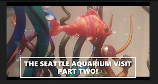 🐙 MY VISIT TO THE SEATTLE AQUARIUM PART TWO 🐠