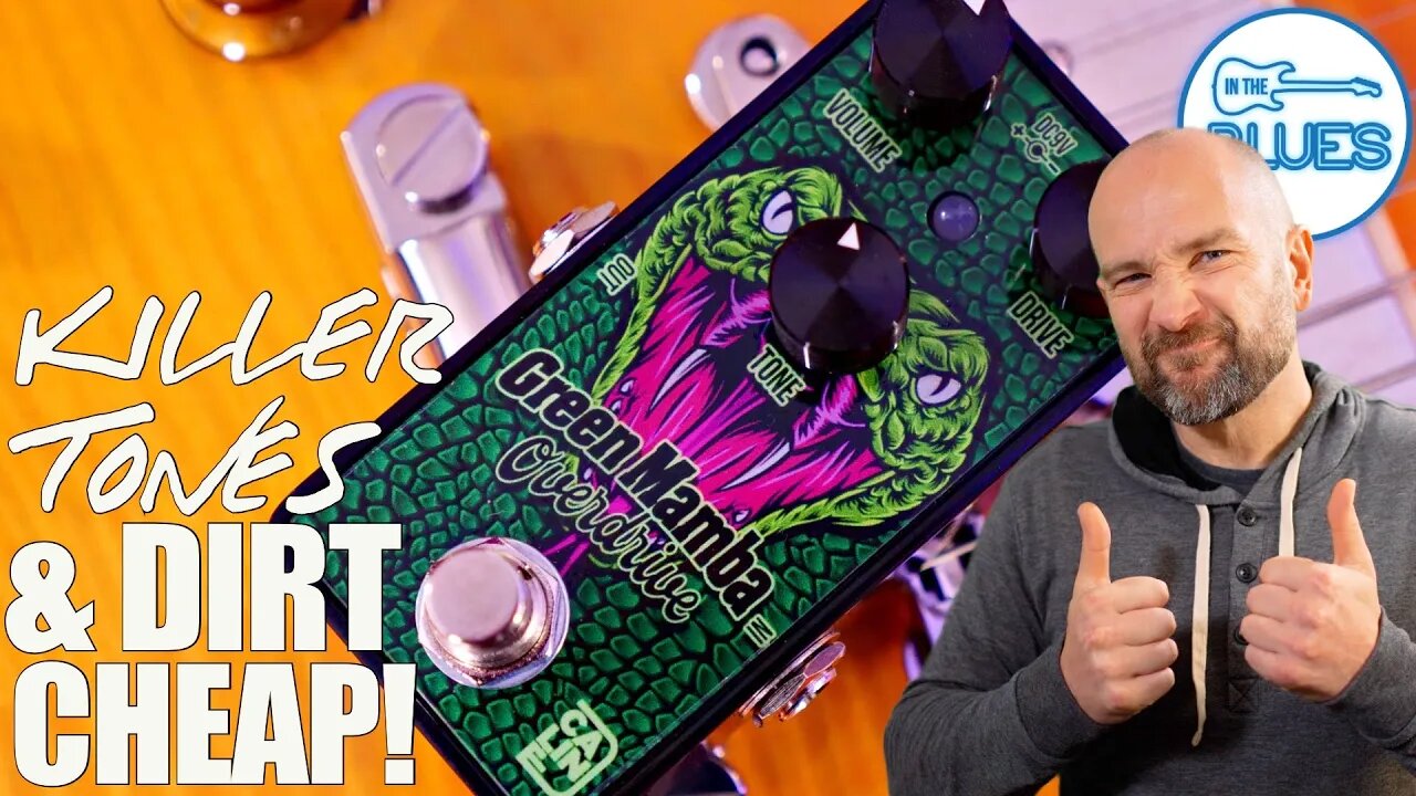 Great Blues Tone on a Budget! The Caline Green Mamba Review