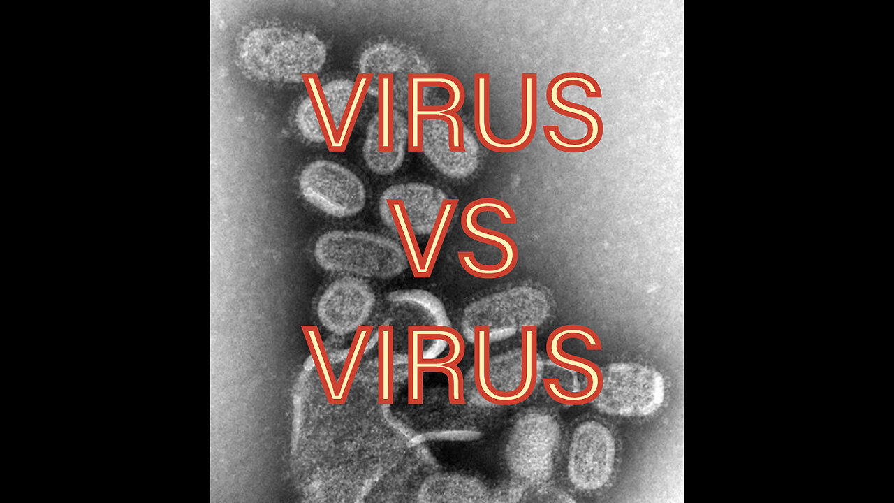 Virus vs Virus