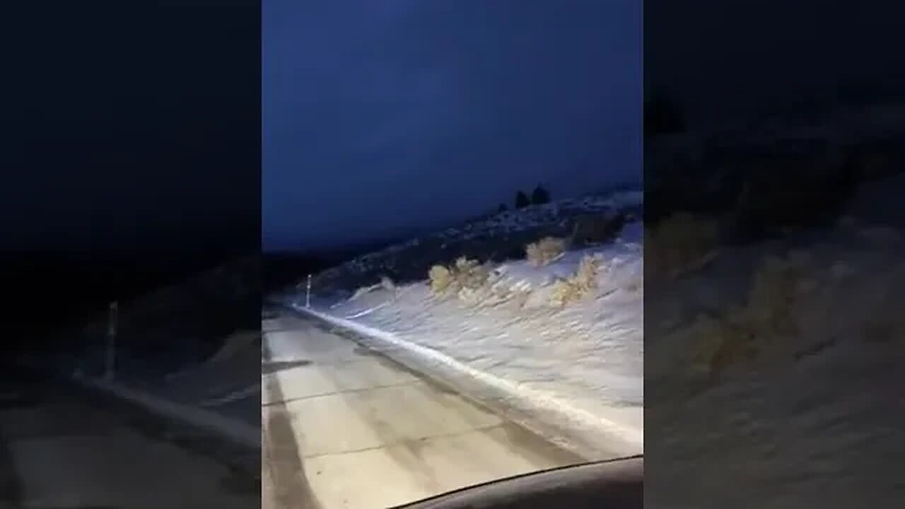 Yellowstone nights.