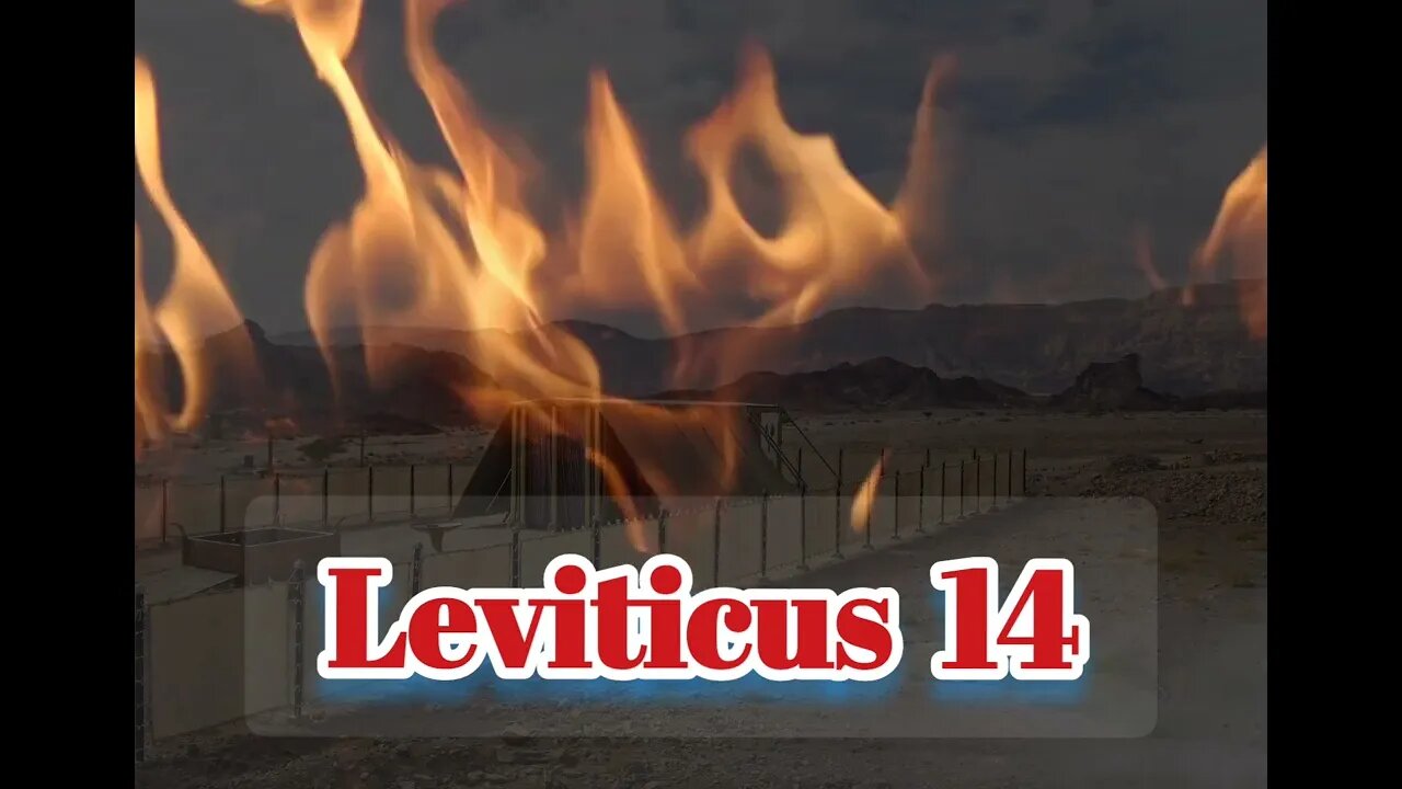 Leviticus 14