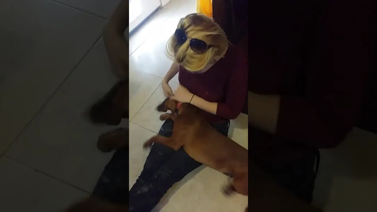 Briana playing with Jethro Puppy 30
