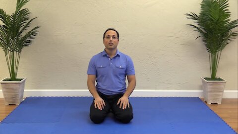 Quadriceps Questions Quadriceps Stretching Rectus Femoris Vastii - YouTube