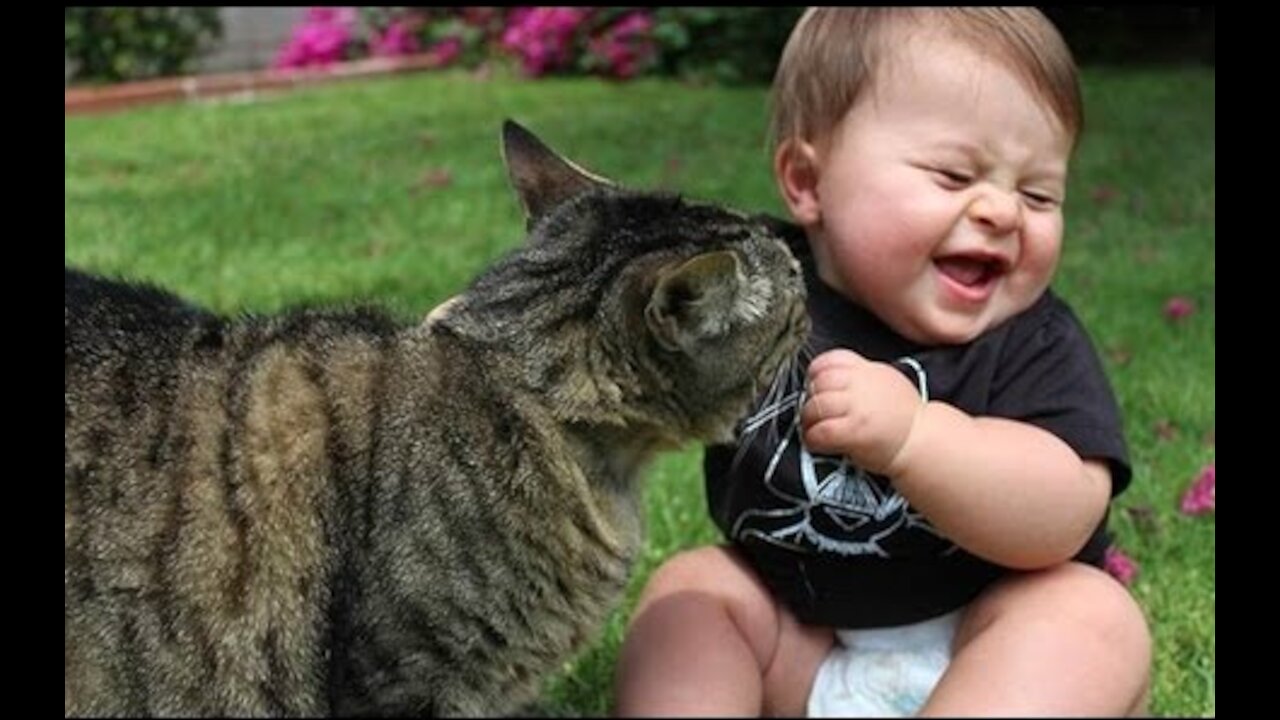 Funny Babies Laughing Hysterically at Cats Compilation (2021)