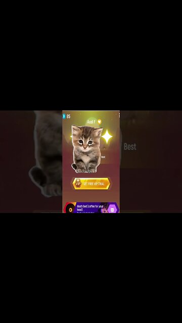 Cat sing Flower Jisoo part 2 #shorts #music #cat #tileshop