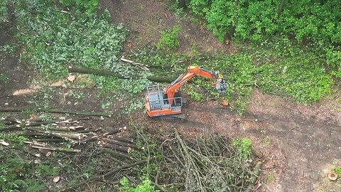 Ariel view of a Doosan DX 180 Cutting a tree down.