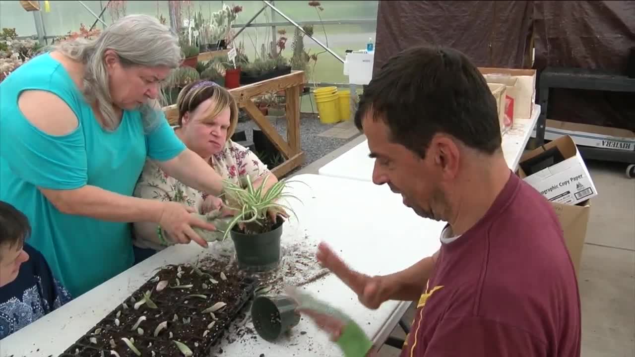 Greenhouse growing plants and self confidence for individuals