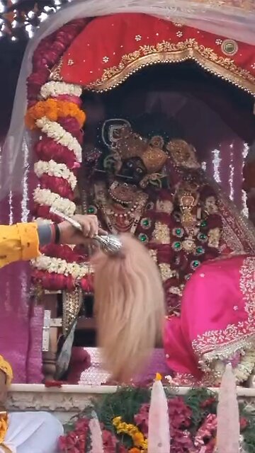 Radhe Rani Darsan Live