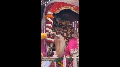 Radhe Rani Darsan Live