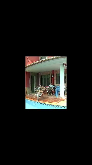 Woman Falls In Pool Sitting Down! #MegaFails #Shorts