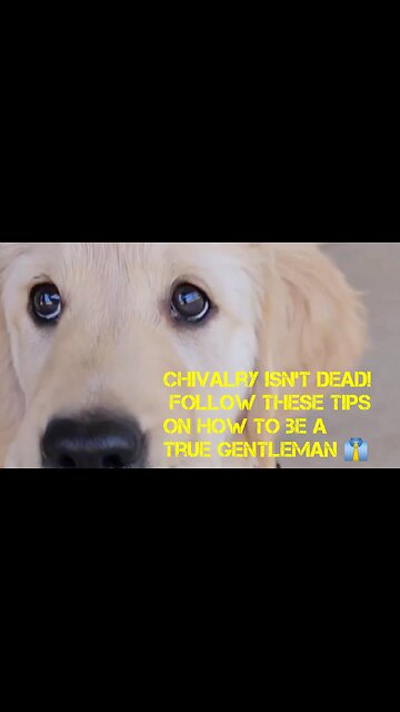 Chivalry isn't dead! Follow these tips on how to be a true gentleman 👔