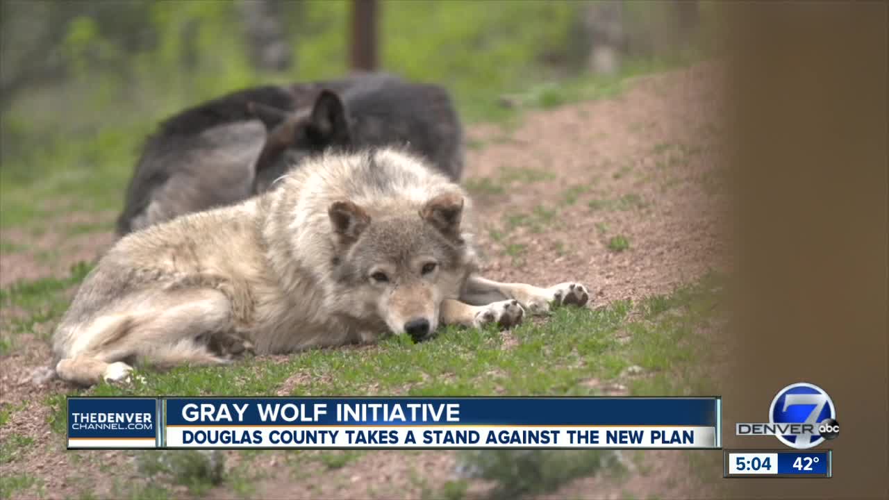 Douglas County Commissioners join list of counties opposing reintroduction of wolves in Colorado