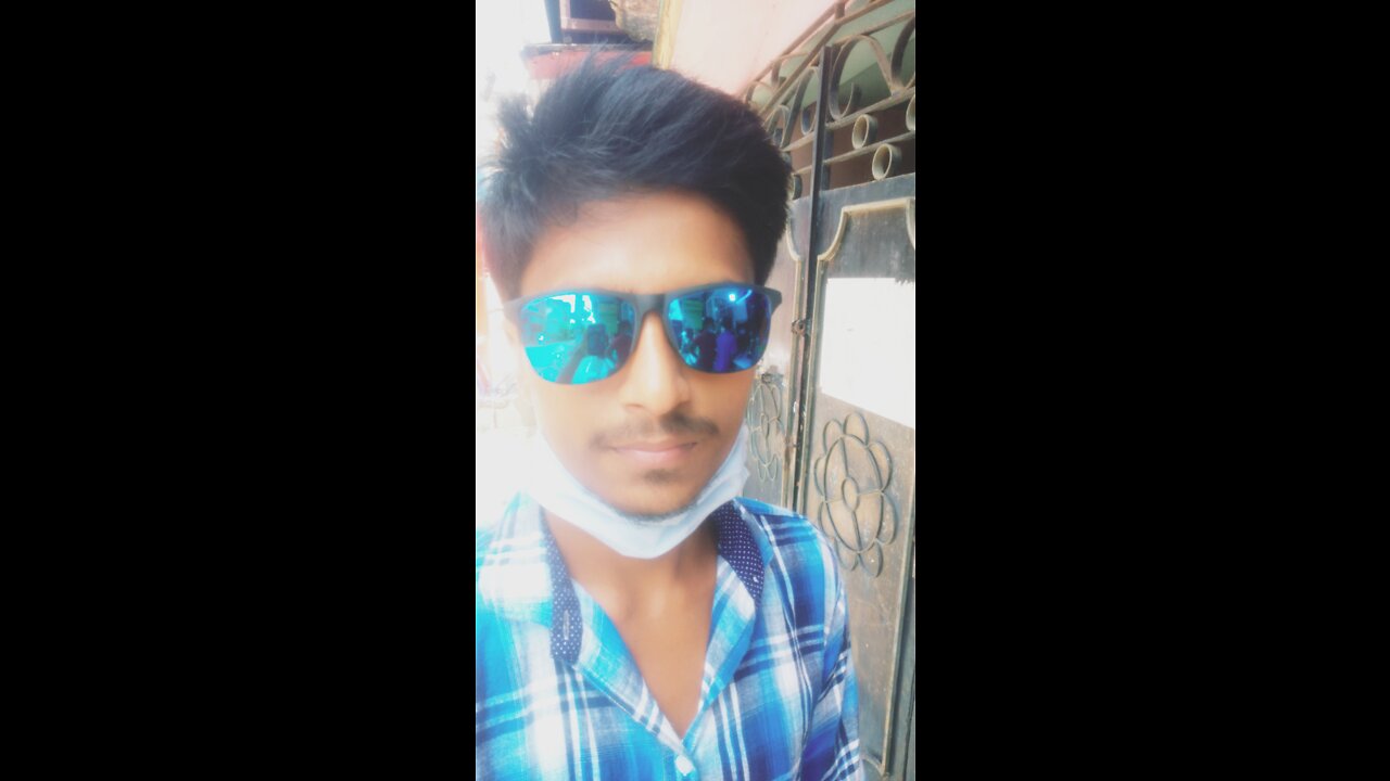 Dog's funny video 😂😂😂😂