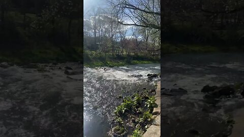 Rapids at Maramec Spring! 🌊