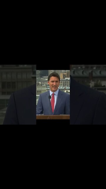 What are Trudeau's Liberal Democratic Values ?