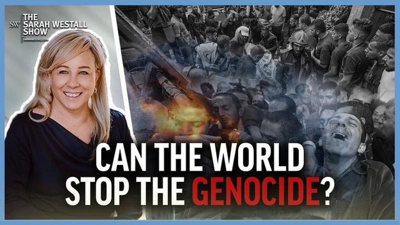 ANALYSIS OF THE ICJ RULING ON GENOCIDE IN GAZA W/ PROF. FRANCIS BOYLE