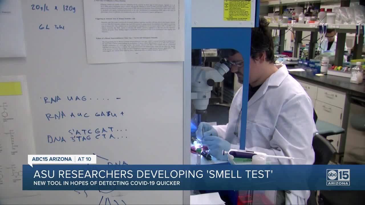 ASU researchers developing 'smell test' to battle COVID-19