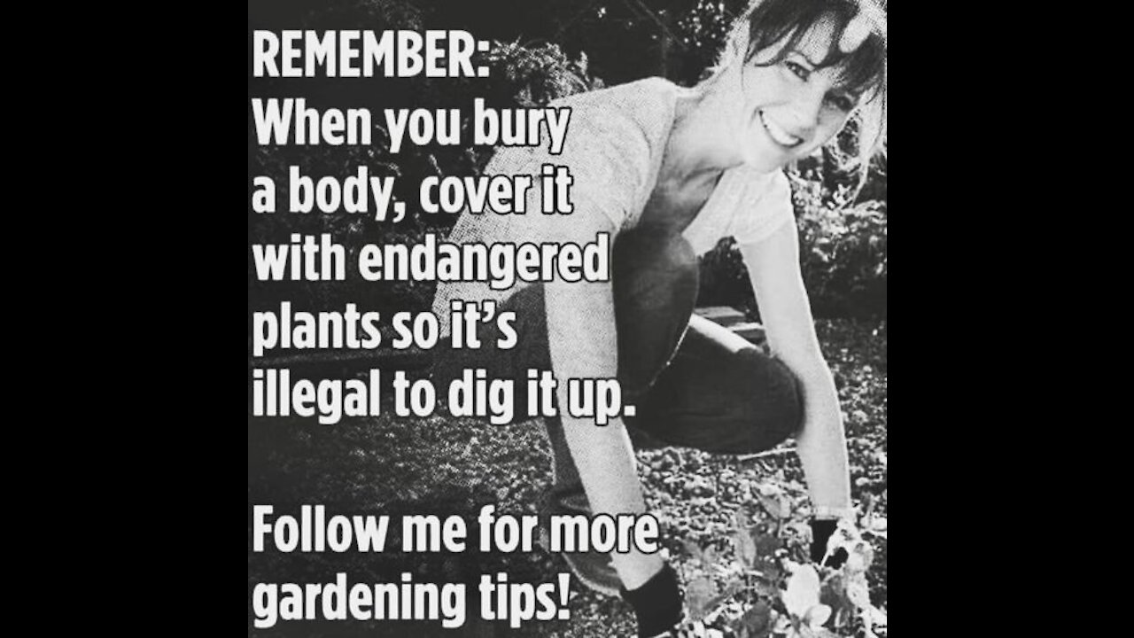 No One Is Voting - America Is Disgusted