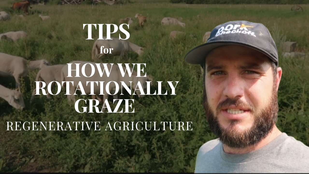 Management Tips for Regenerative Grazing