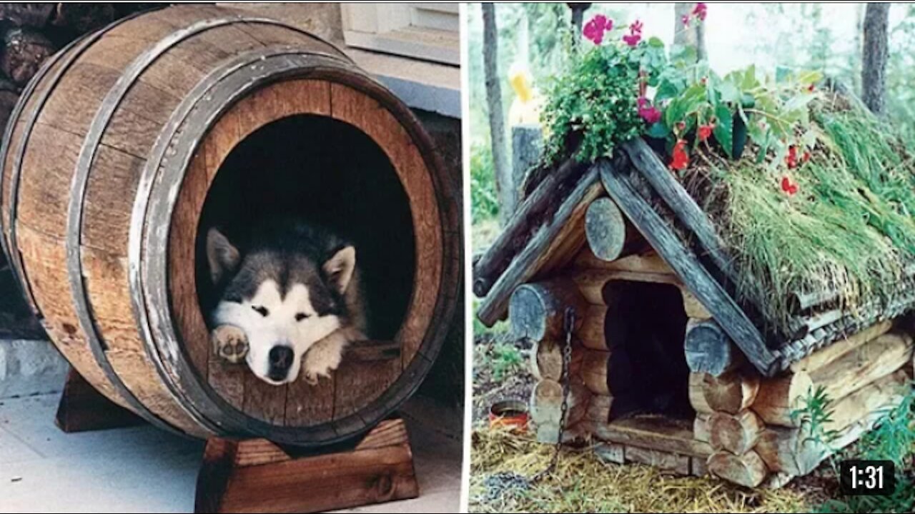 Free DIY Dog House Plans & Ideas for Your Furry Friend