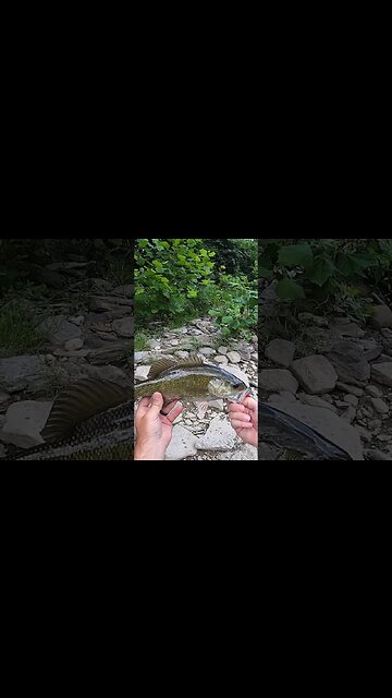 Smallmouth fishing Ohio creeks!