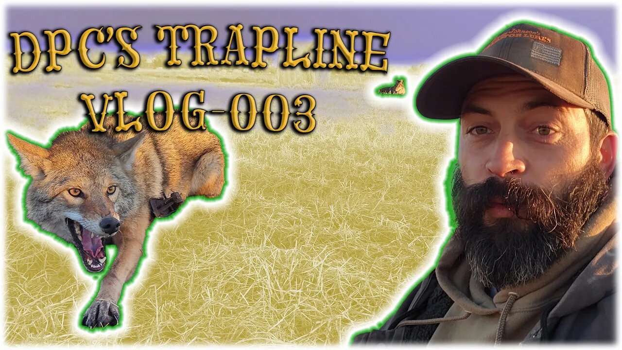 DPC Trapline Vlog 003 12TH Check(4 Dogs AGAIN!)