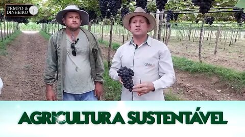 Agricultura Sustentável - com Frederico Olivi