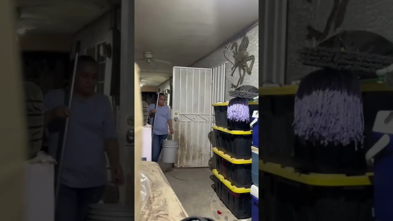 Giant spider #prank