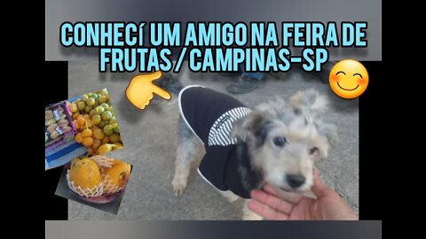 Conhecí um AMIGO na Feira de Frutas CAMINHÃO DAS FRUTAS em Campinas-SP e MIDI conscientizou o rapaz