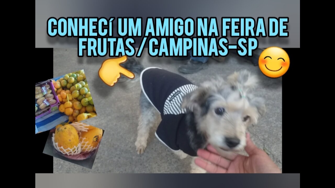 Conhecí um AMIGO na Feira de Frutas CAMINHÃO DAS FRUTAS em Campinas-SP e MIDI conscientizou o rapaz