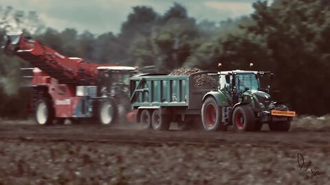 DeWulf 3060 potato harvester - Harvest 2022