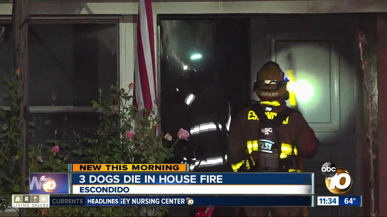 3 dogs die in Escondido house fire