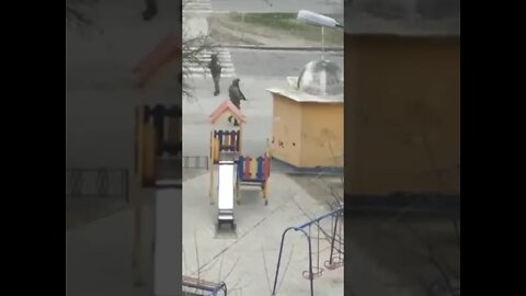 Ukraine War - Russians detain man in Kherson