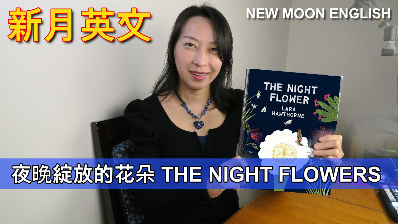 夜晚綻放的花朵 THE NIGHT FLOWERS