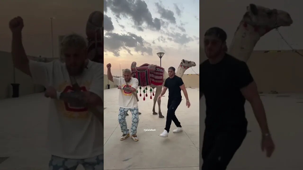 #jakepaul & #loganpaul with the moves