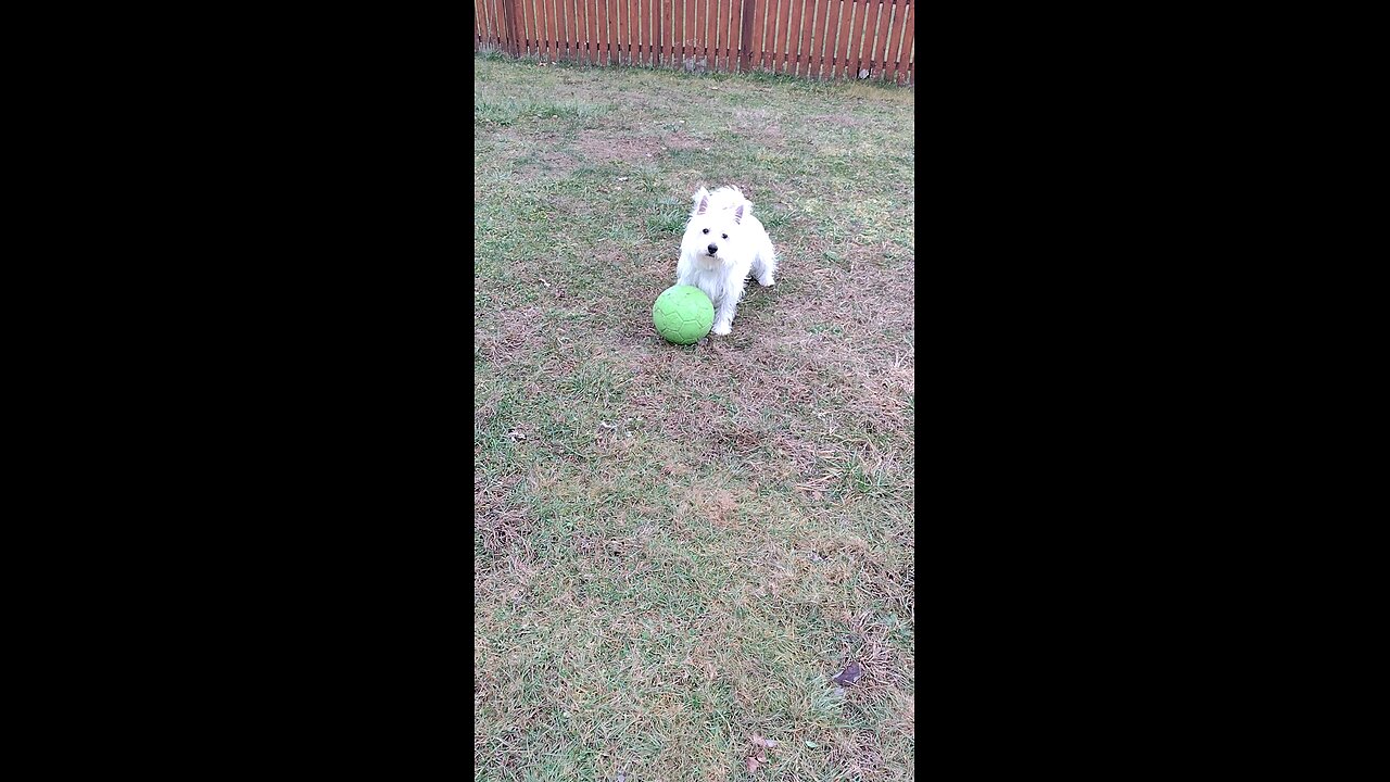 Finn having a ball