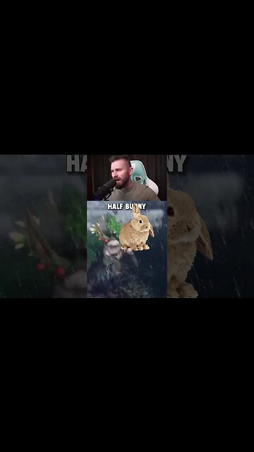 Crazy Half-Bunny, Half-Tree Monster in Wild Hearts!