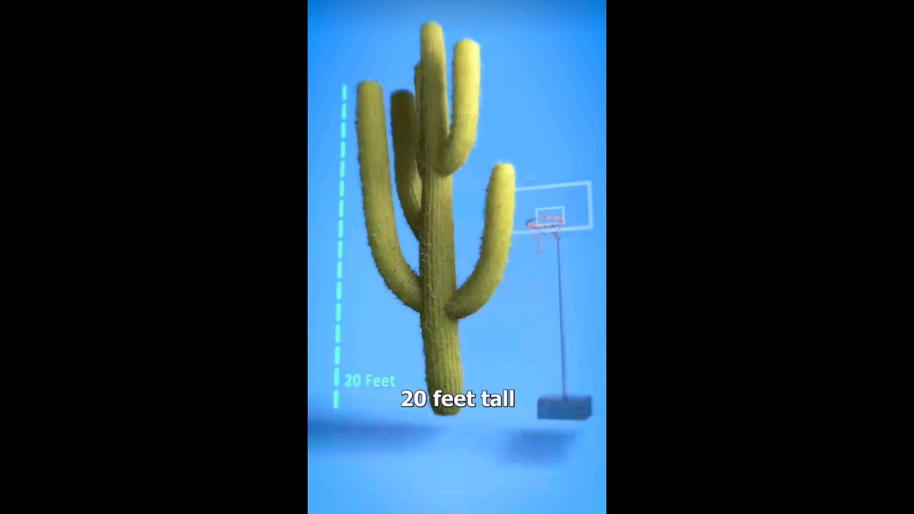 A Man Who Lost His Life to a Cactus 😲